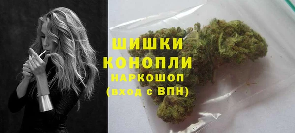 шишки Армянск