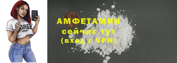 шишки Армянск