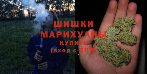 шишки Армянск