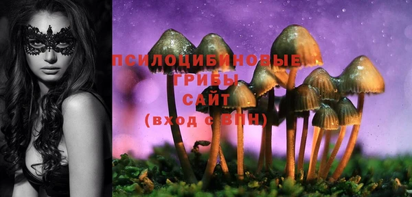 шишки Армянск